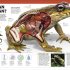 Knowledge Encyclopedia Animal!
