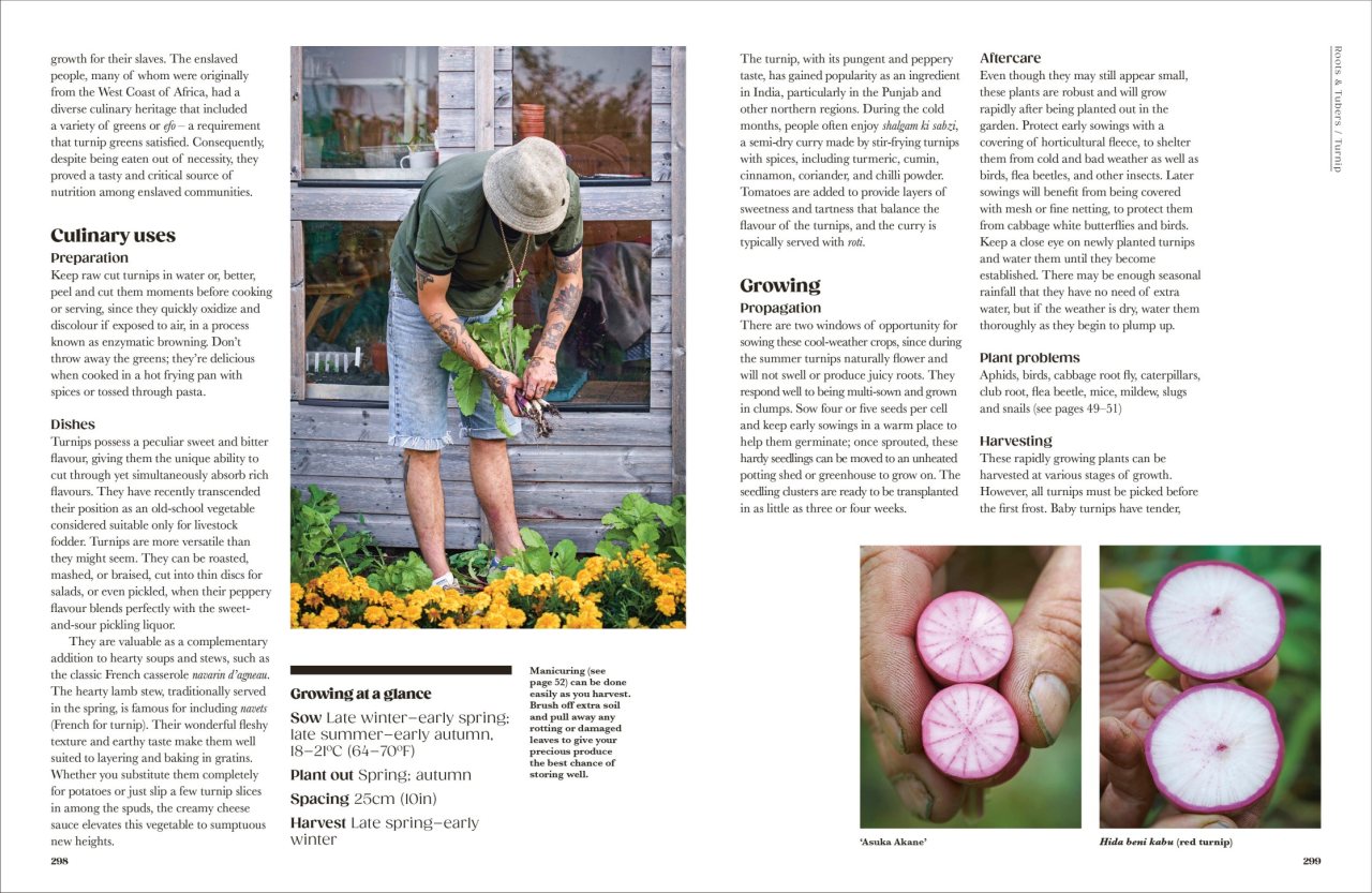 The Seed Hunter