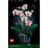 Orchid