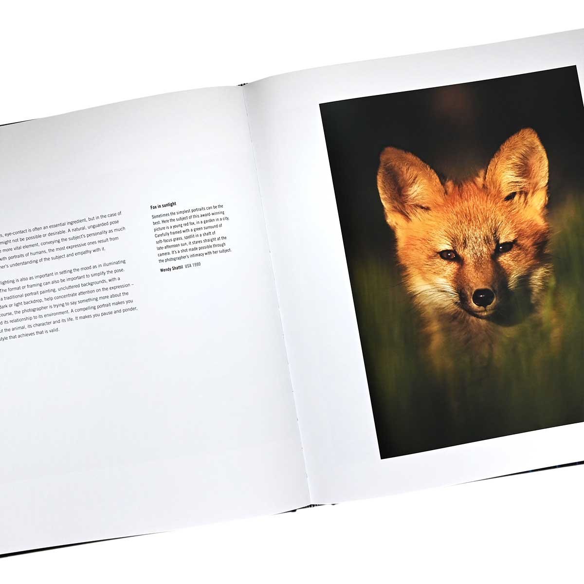 60 Years of Wildlife Photographer of the Year | Hatchards