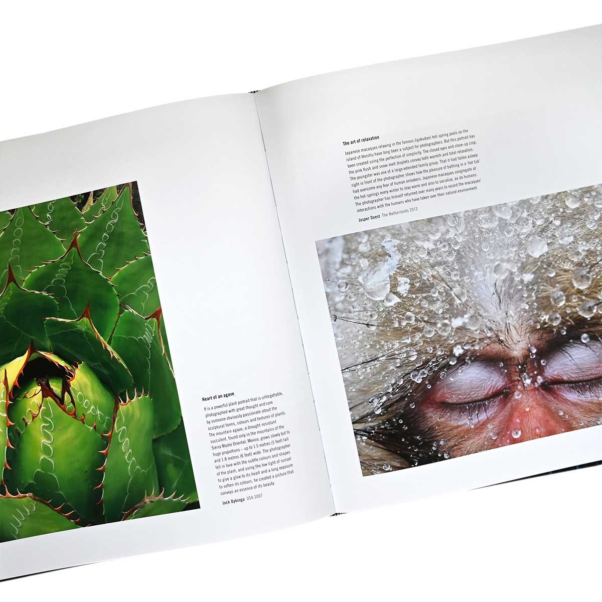 60 Years of Wildlife Photographer of the Year | Hatchards
