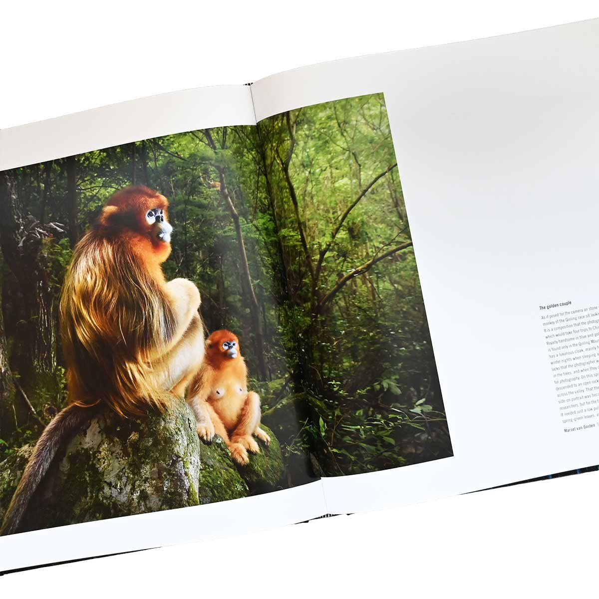60 Years of Wildlife Photographer of the Year | Hatchards