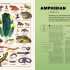 Knowledge A Visual Compendium