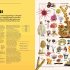 Knowledge A Visual Compendium