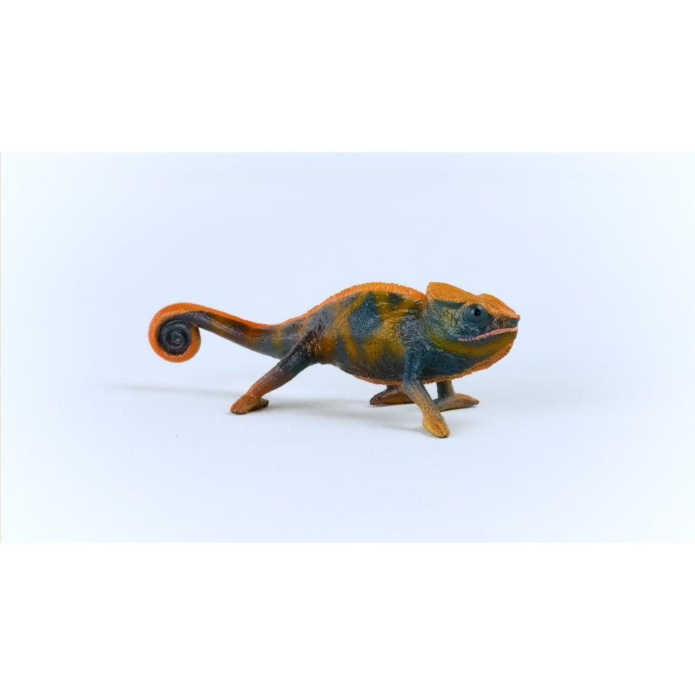 Chameleon
