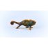 Chameleon