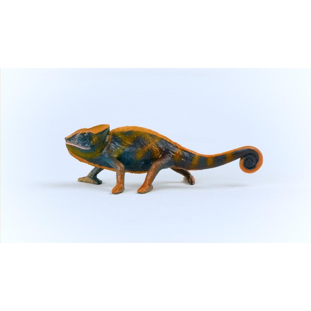 Chameleon