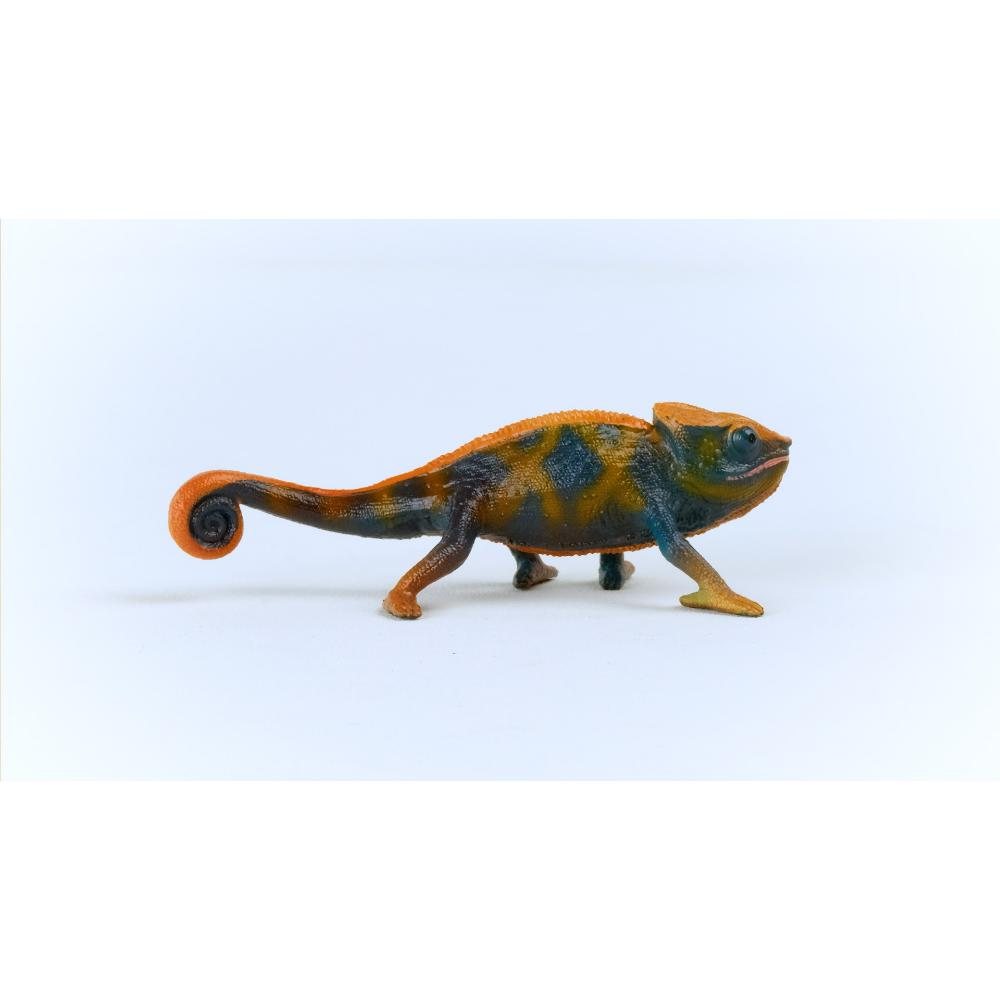 Chameleon