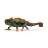 Chameleon