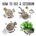Botanic Seedbom