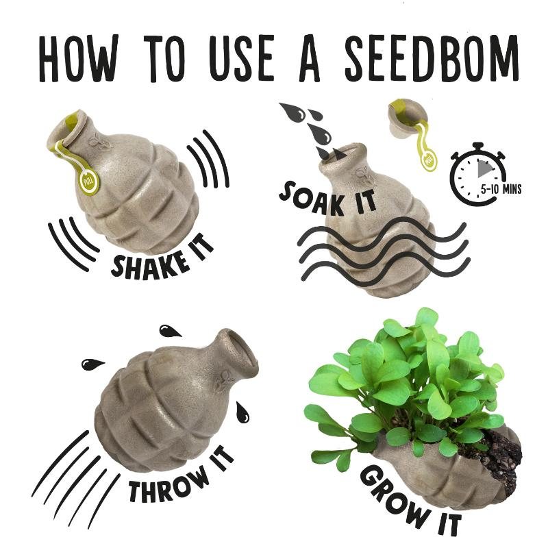 Botanic Seedbom