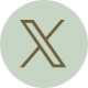 X icon with link