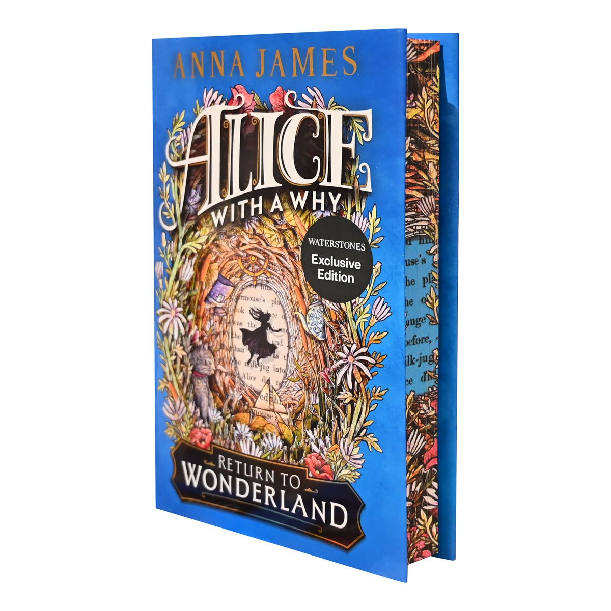 Alice With a Why