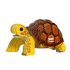 Eugy Tortoise