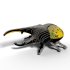 Eugy Hercules Beetle