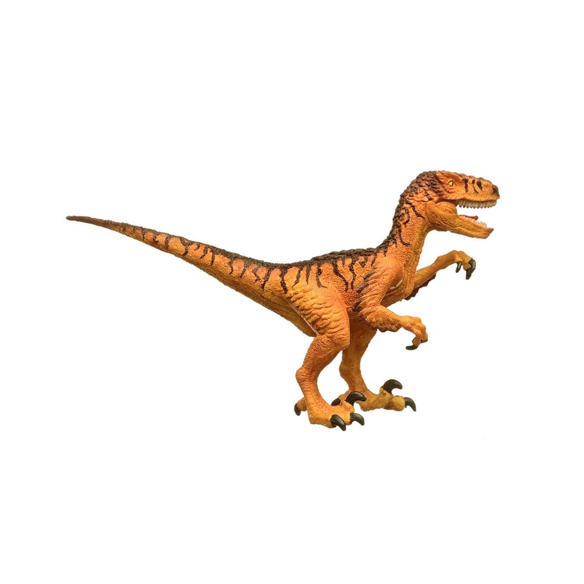 Velociraptor
