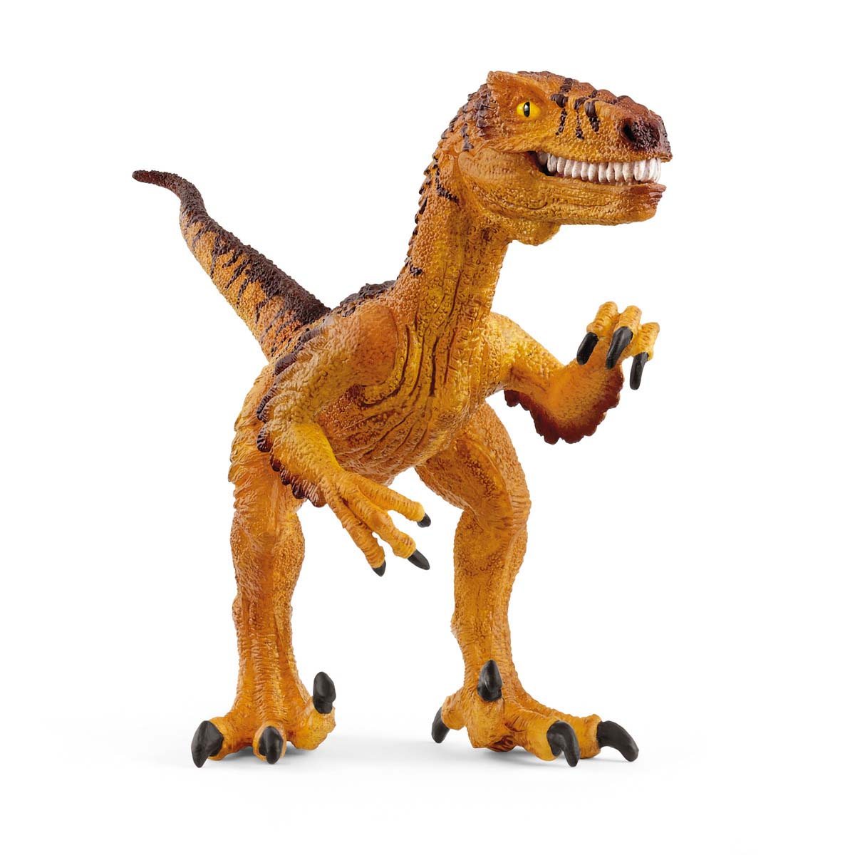 Velociraptor