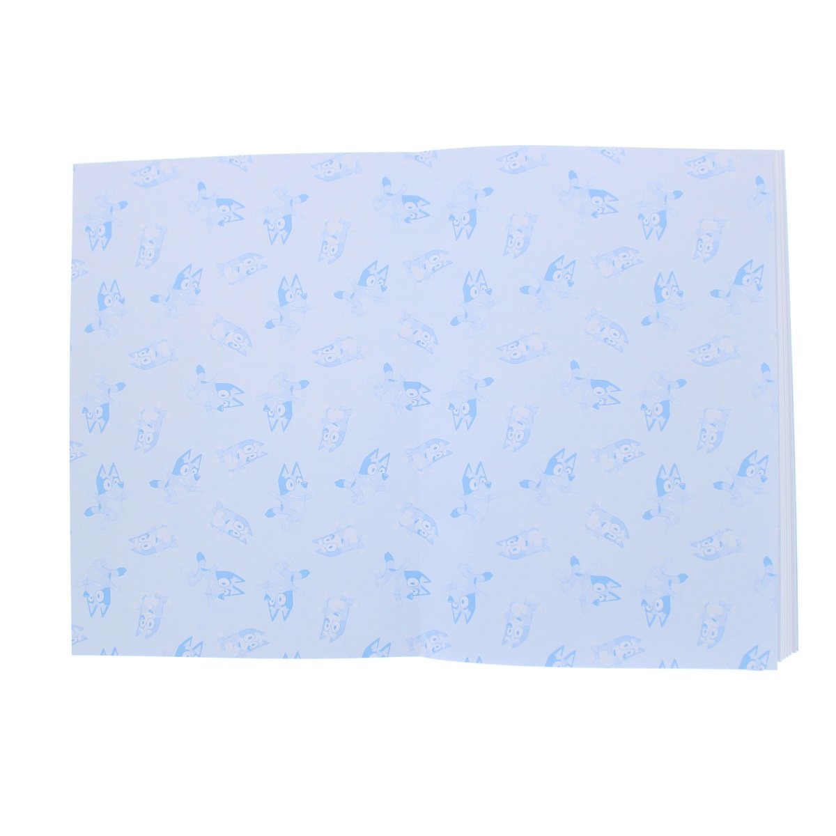 Bluey Notebook