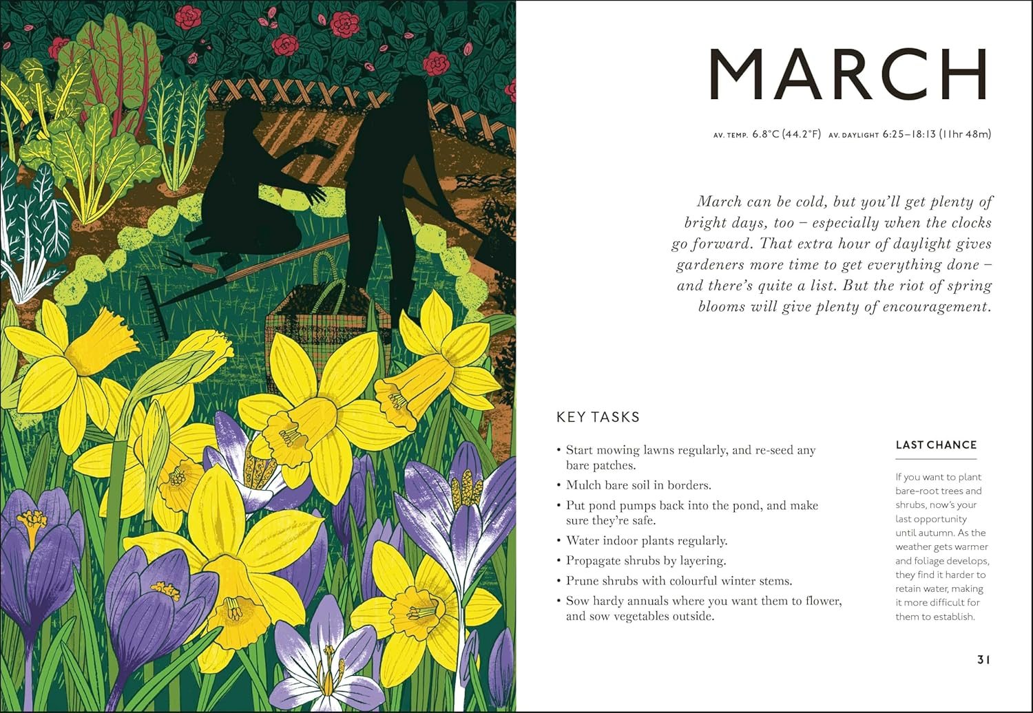 Your Gardening Year