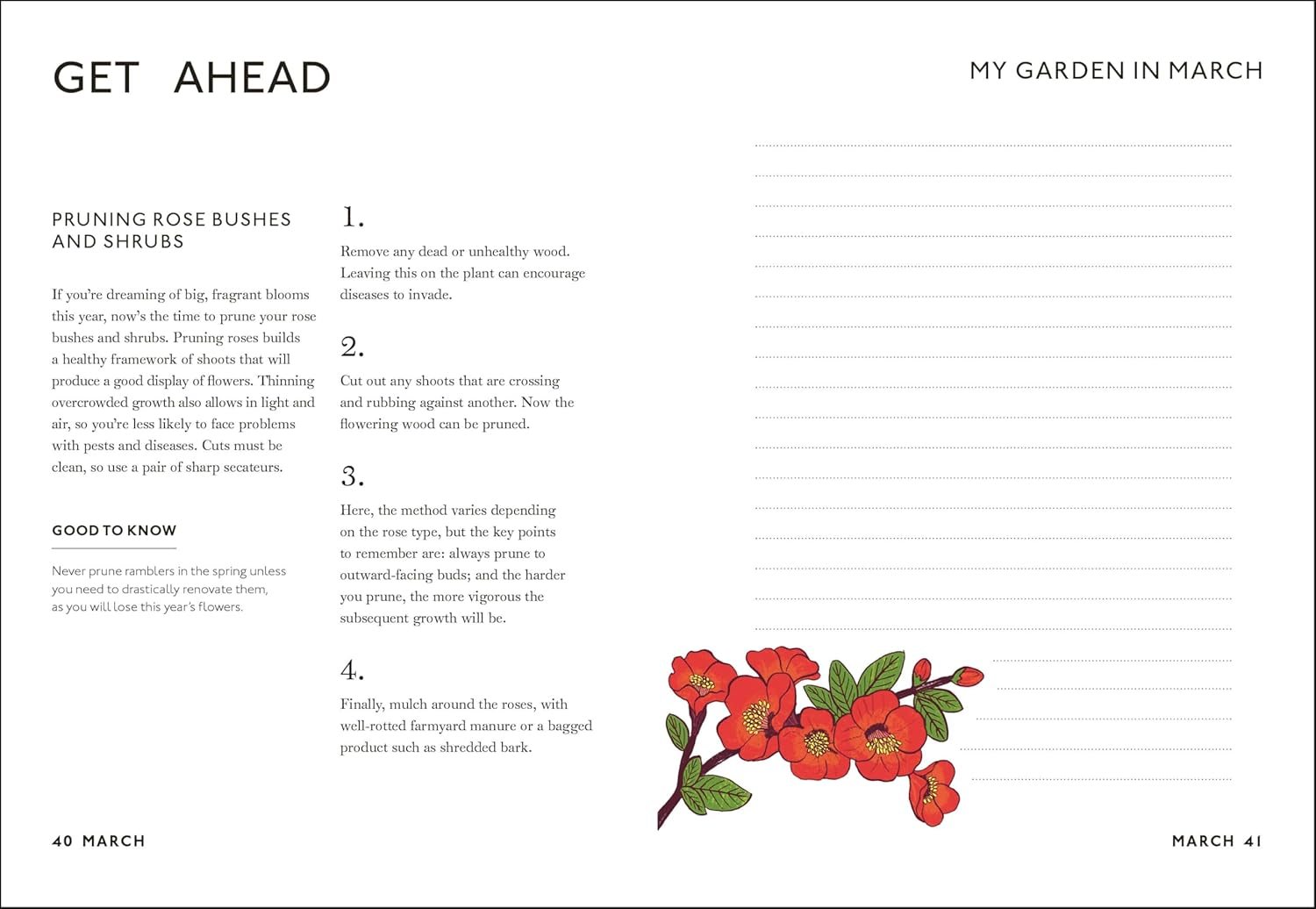 Your Gardening Year