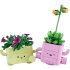 Rocking Plants