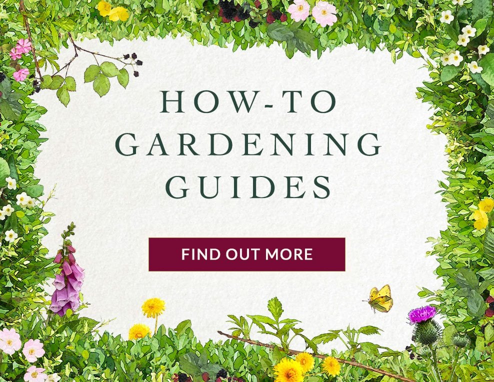How-to Gardening Guides