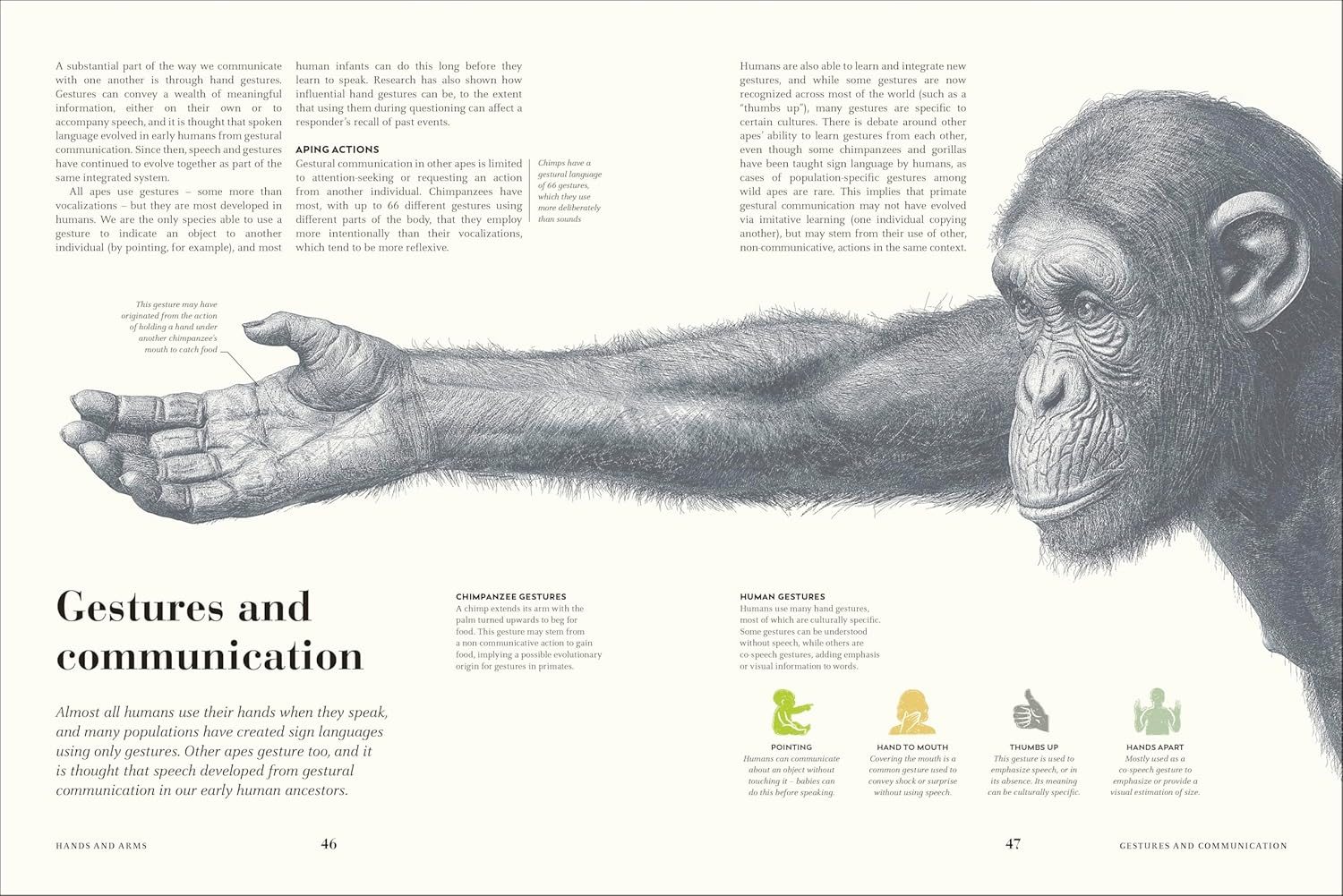 Humans
