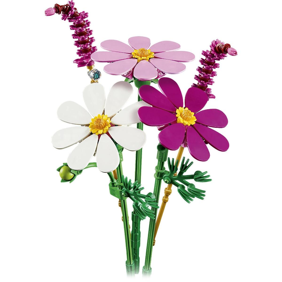 Cosmos Flowers