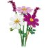 Cosmos Flowers