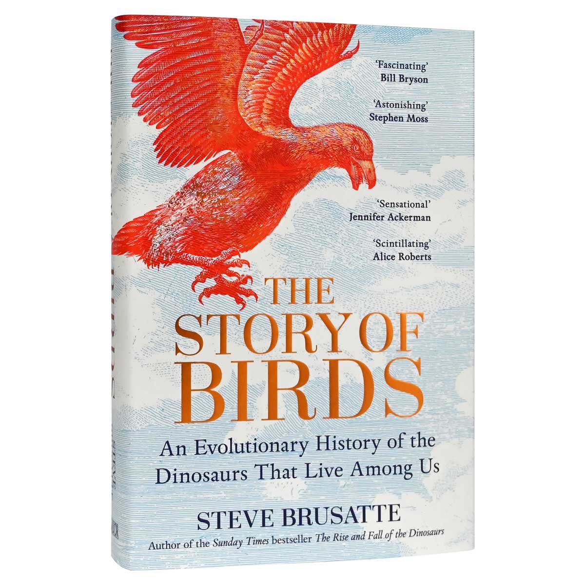 The Story of Birds