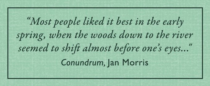 The Armchair Traveller