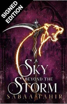 A Sky Beyond the Storm