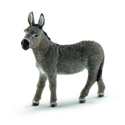 Donkey New