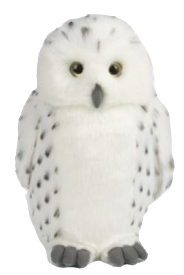 Snowy Owl