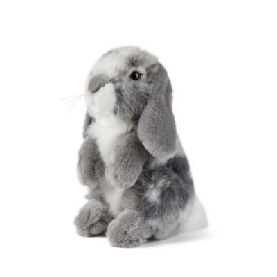 Grey Sitting Rabbit