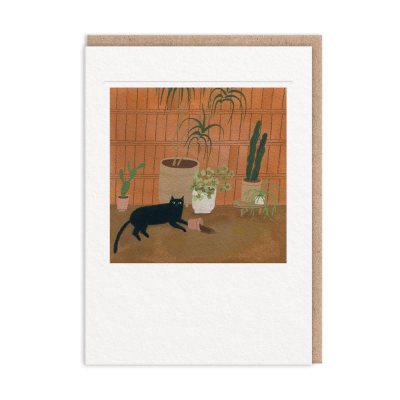 Black Cat