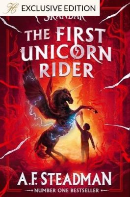 The First Unicorn Rider