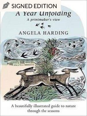 A Year Unfolding