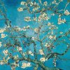 Almond Branches in Bloom, Van Gogh