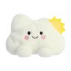 Summer Cloud Palm Pal