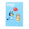 Bluey Notebook