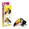Eugy Toucan