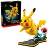 Pikachu And Pok