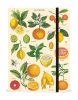 Large Notebook Citrus